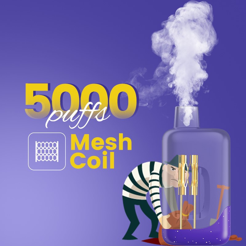 5000puffs disposables vapes mesh coil e-cigarette vape factory 9 5000puffs disposables vapes mesh coil e-cigarette vape factory 9