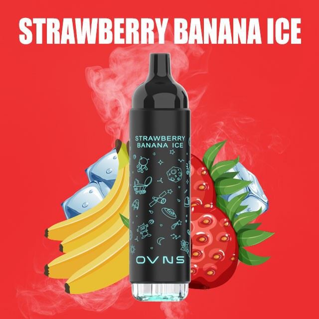 OVNS 2500 Puff Vape Pod