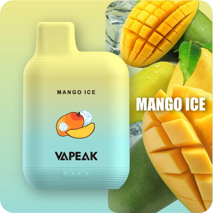 Disposable Big 5000 Puffs 15ml E-Liquid Vape Pod Device Electronic Cigarette Disposable Big 5000 Puffs 15ml E-Liquid Vape Pod Device Electronic Cigarette