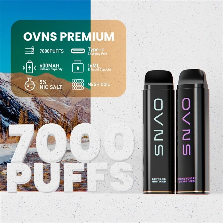 Manufacturer 7000 Puffs Disposable Vape Manufacturer 7000 Puffs Disposable Vape