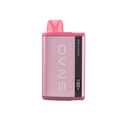 5000 Puffs SALT NIC Disposable
